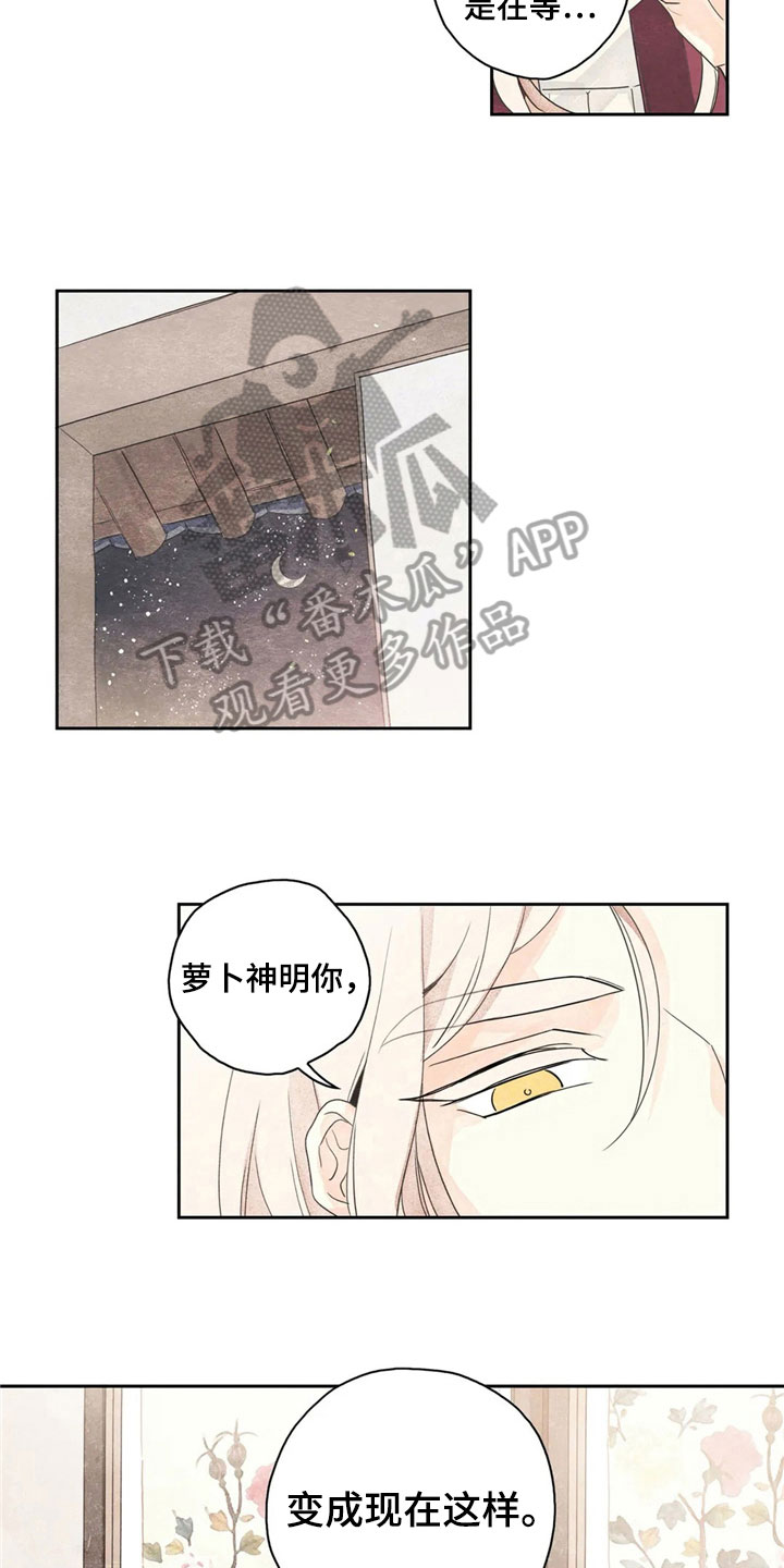 《灵感与期待》漫画最新章节第33章：萝卜与白菜：中计免费下拉式在线观看章节第【12】张图片