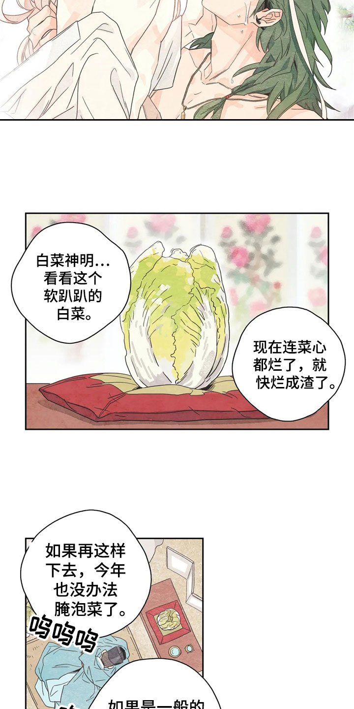 《灵感与期待》漫画最新章节第32章：萝卜与白菜：泡菜神免费下拉式在线观看章节第【11】张图片