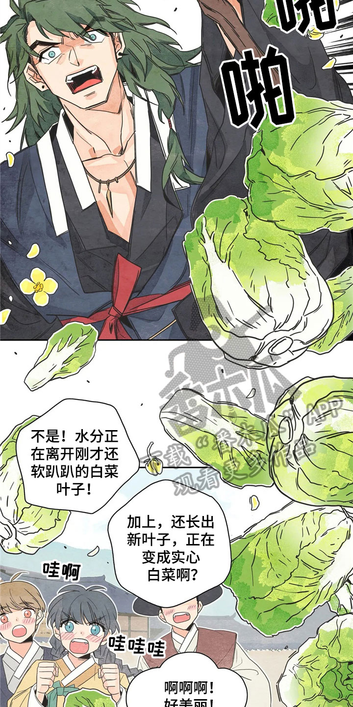 《灵感与期待》漫画最新章节第32章：萝卜与白菜：泡菜神免费下拉式在线观看章节第【6】张图片