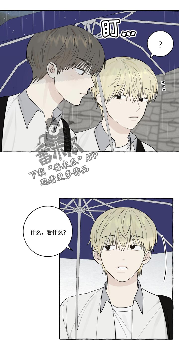 《热烈明阳》漫画最新章节第46章：下雨免费下拉式在线观看章节第【6】张图片