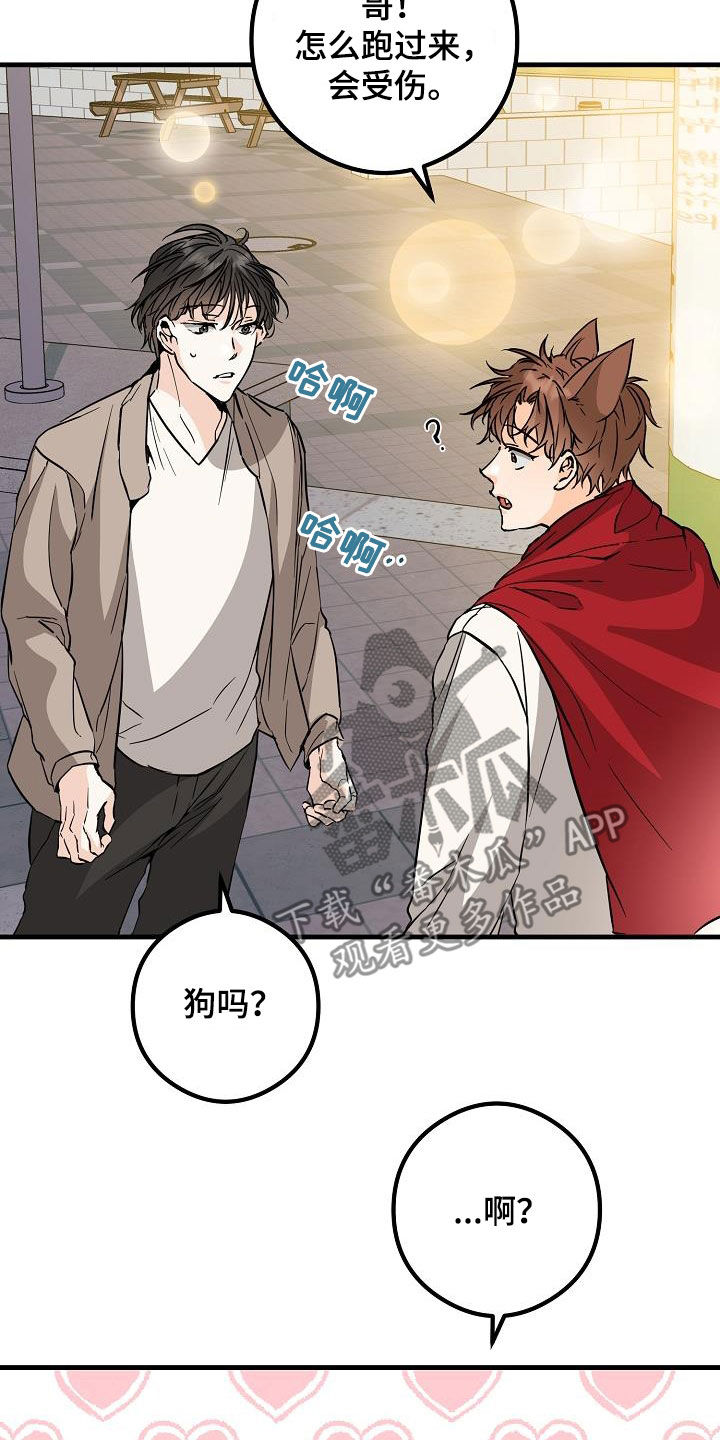 《心动的距离》漫画最新章节第65章：丢失免费下拉式在线观看章节第【5】张图片