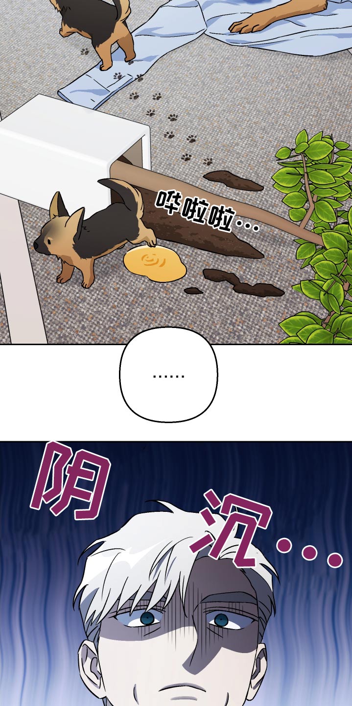 《爱犬与我》漫画最新章节第100章：【第二季】做饭免费下拉式在线观看章节第【21】张图片