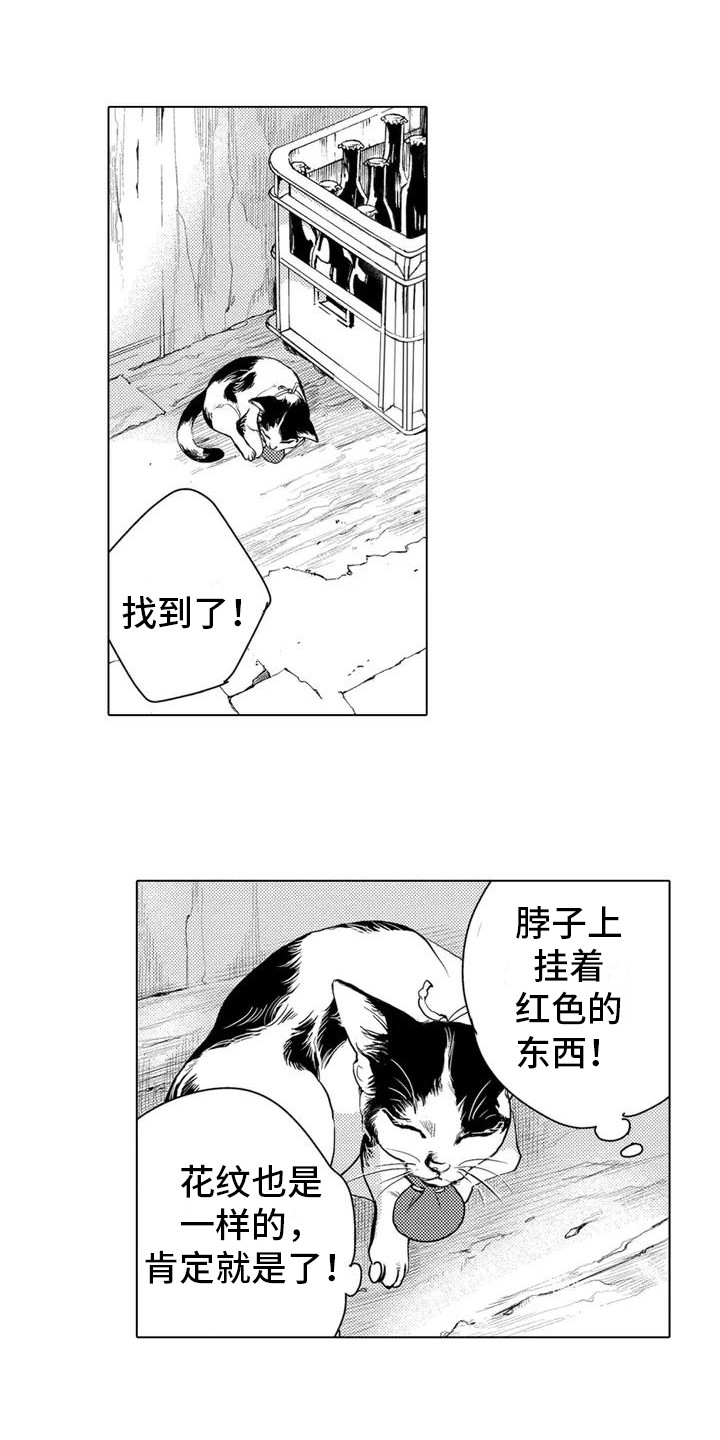 《问题事务所》漫画最新章节第2章： 寻找猫咪免费下拉式在线观看章节第【8】张图片