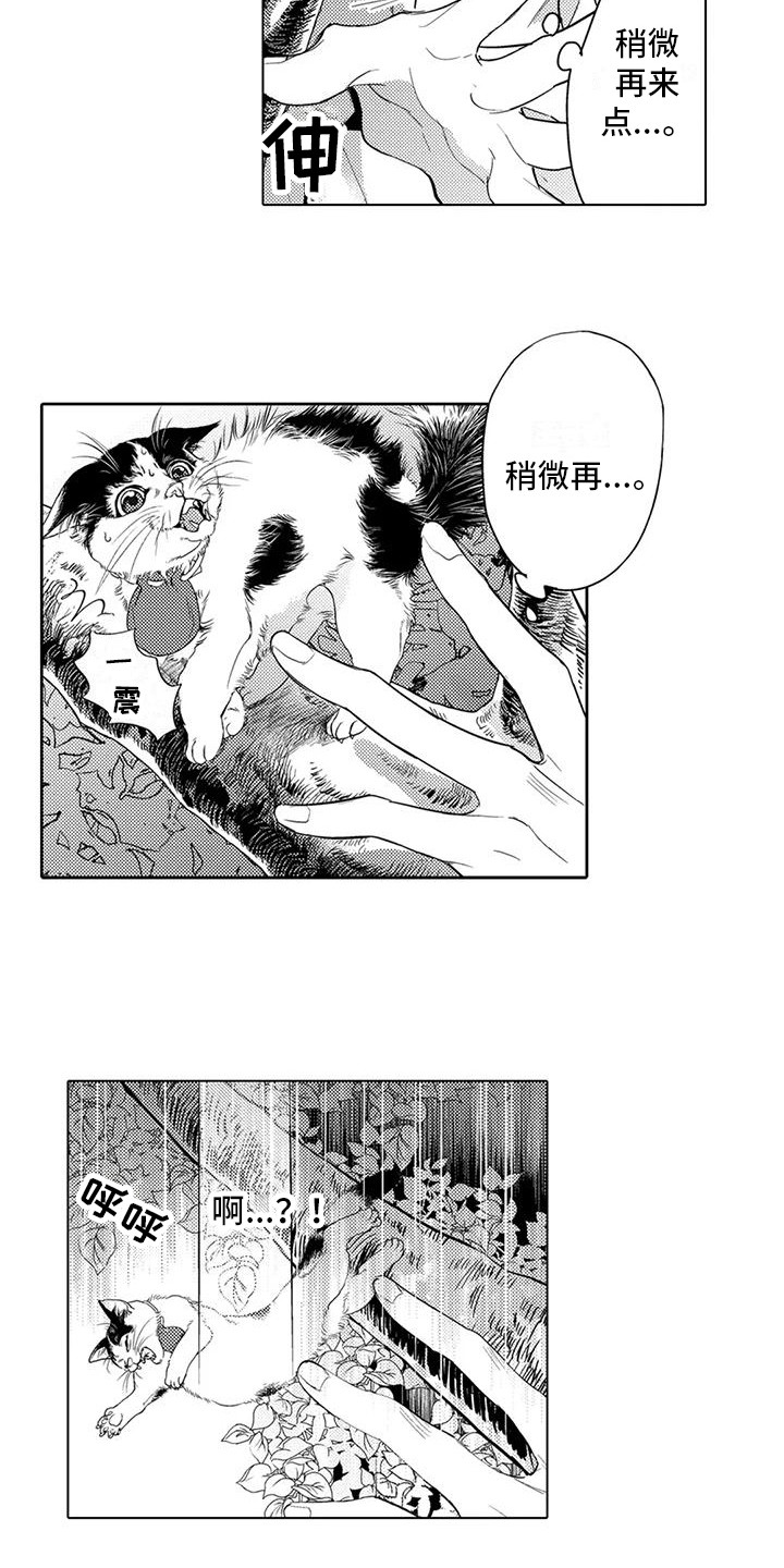 《问题事务所》漫画最新章节第3章：爬上树免费下拉式在线观看章节第【2】张图片