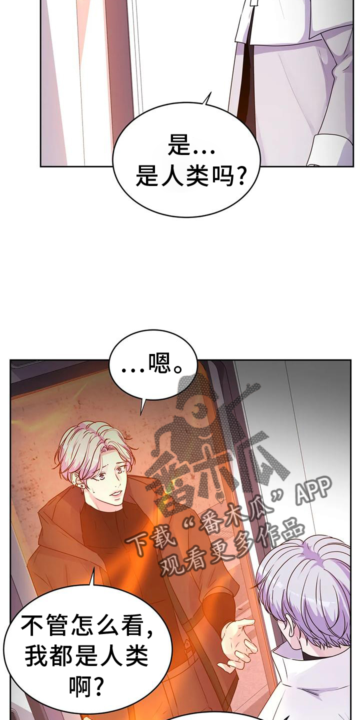 《最后的净土》漫画最新章节第69章：绝密免费下拉式在线观看章节第【24】张图片