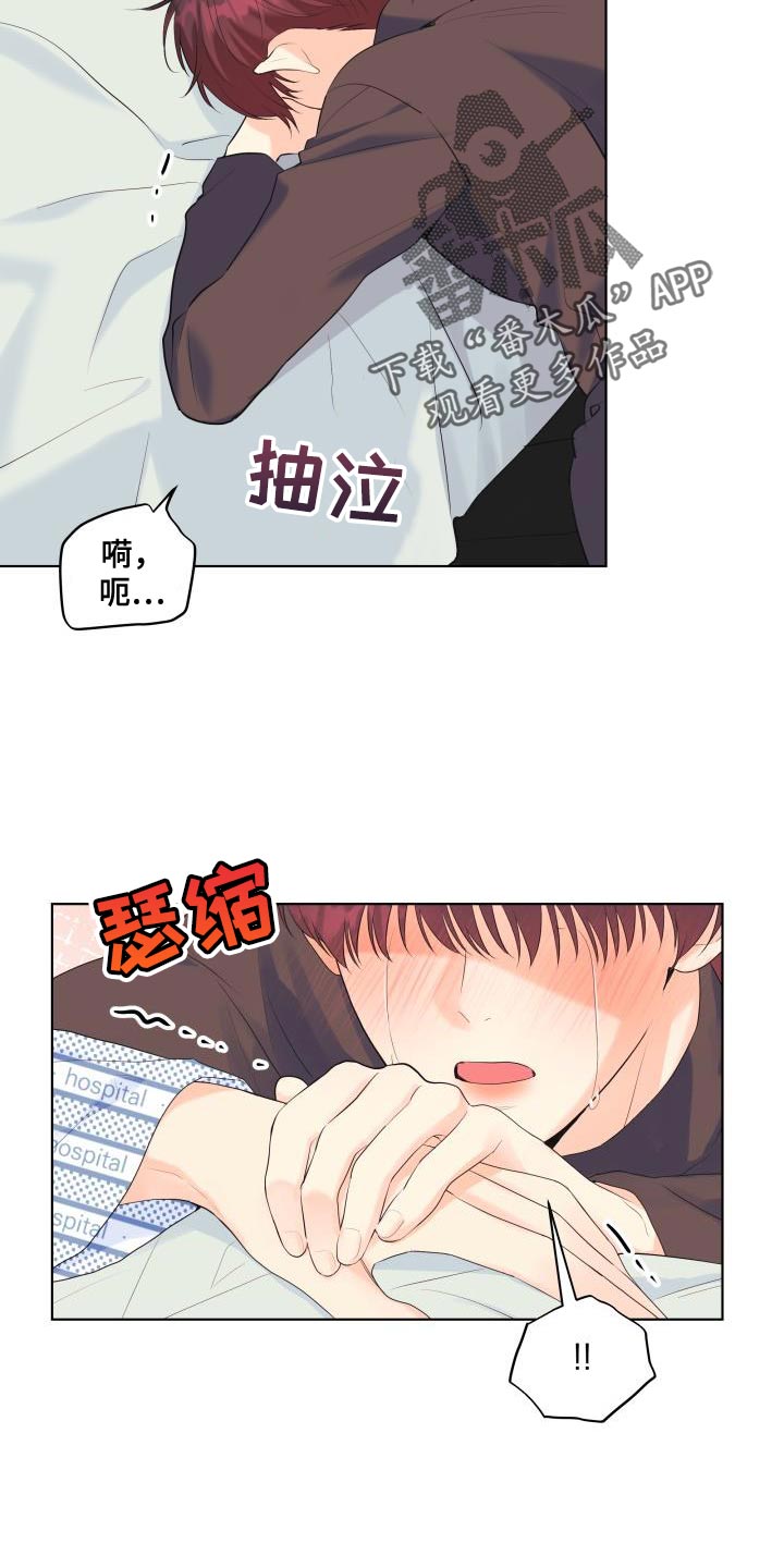 《掌中玫瑰》漫画最新章节第124章：【第二季】车祸免费下拉式在线观看章节第【10】张图片