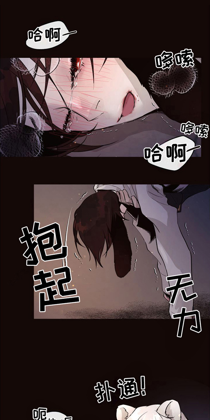 《北极兔》漫画最新章节第7章：唯一的黑色（完结）免费下拉式在线观看章节第【10】张图片