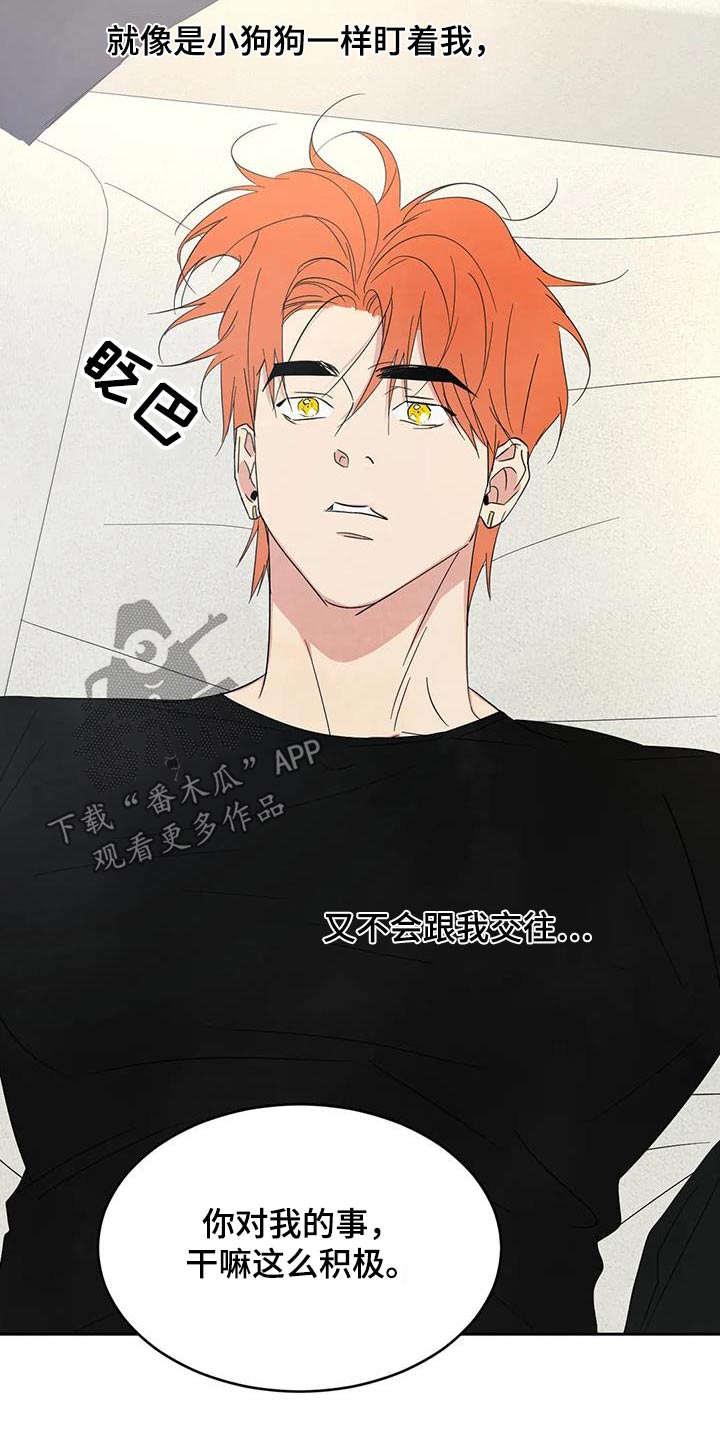 《喜欢特别的他》漫画最新章节第186章：【第二季】说清楚免费下拉式在线观看章节第【18】张图片