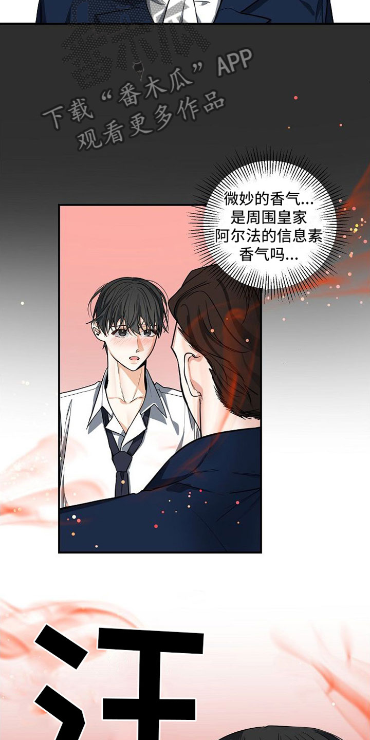 《狩猎之夜》漫画最新章节第6章：狩猎开始免费下拉式在线观看章节第【12】张图片