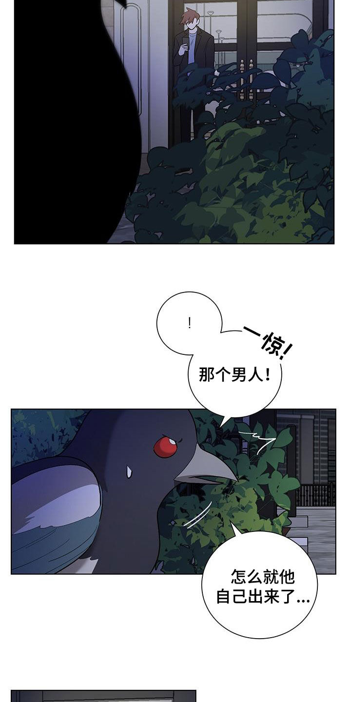 《鹊蛇之争》漫画最新章节第23章：接电话免费下拉式在线观看章节第【8】张图片