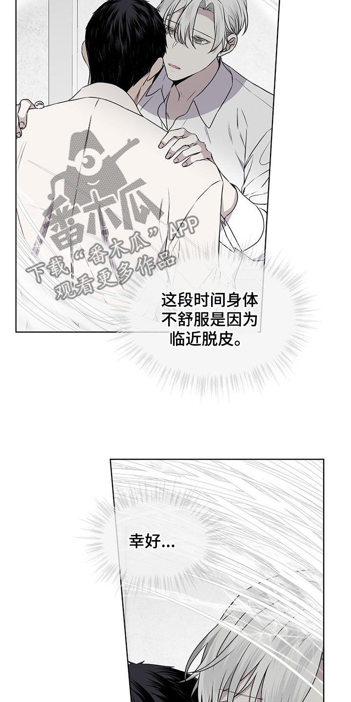 《森海之恋》漫画最新章节第80章：【第二季】脱皮免费下拉式在线观看章节第【22】张图片