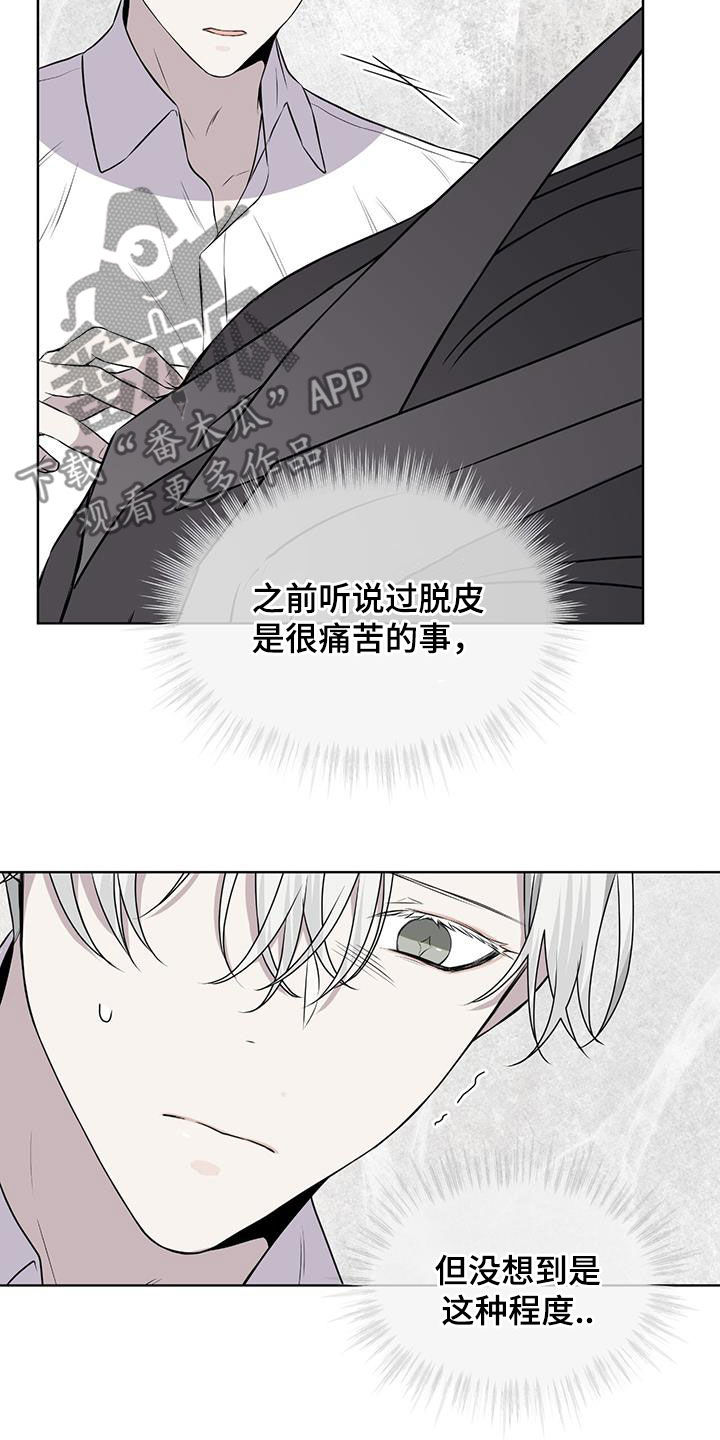 《森海之恋》漫画最新章节第80章：【第二季】脱皮免费下拉式在线观看章节第【13】张图片