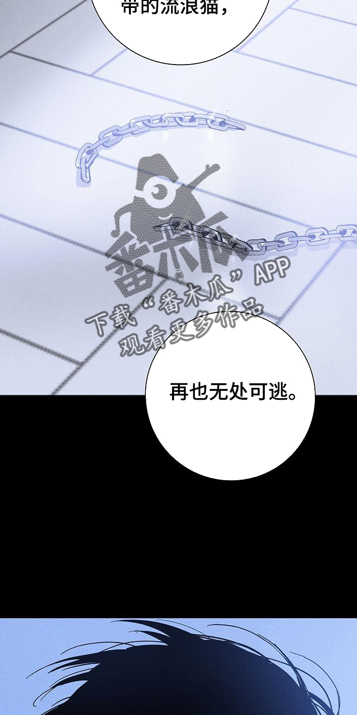 《与男人结婚》漫画最新章节第168章：【第二季】调查免费下拉式在线观看章节第【25】张图片