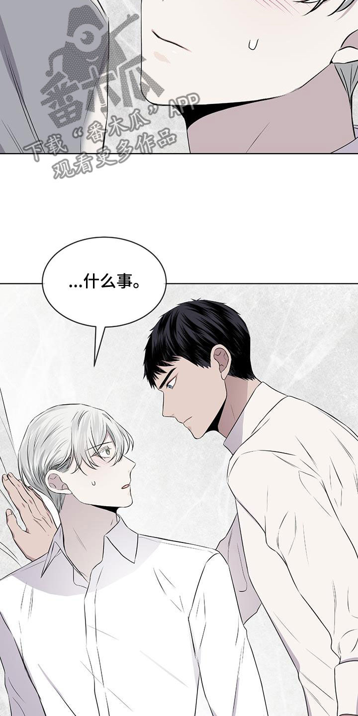 《森海之恋》漫画最新章节第81章：【第二季】求爱的歌免费下拉式在线观看章节第【4】张图片