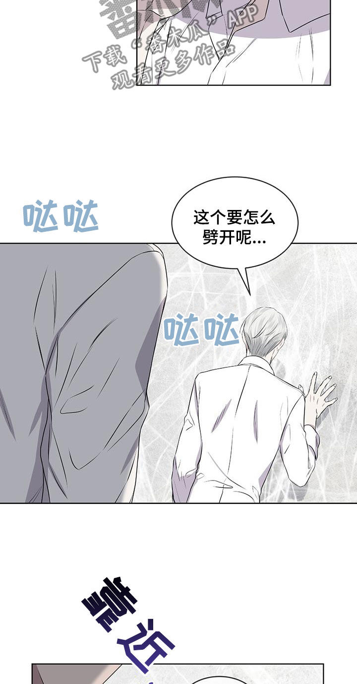 《森海之恋》漫画最新章节第81章：【第二季】求爱的歌免费下拉式在线观看章节第【6】张图片