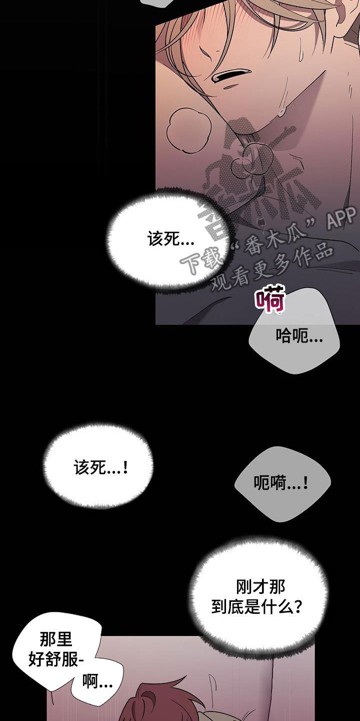 《鹊蛇之争》漫画最新章节第24章：不会有问题的免费下拉式在线观看章节第【15】张图片