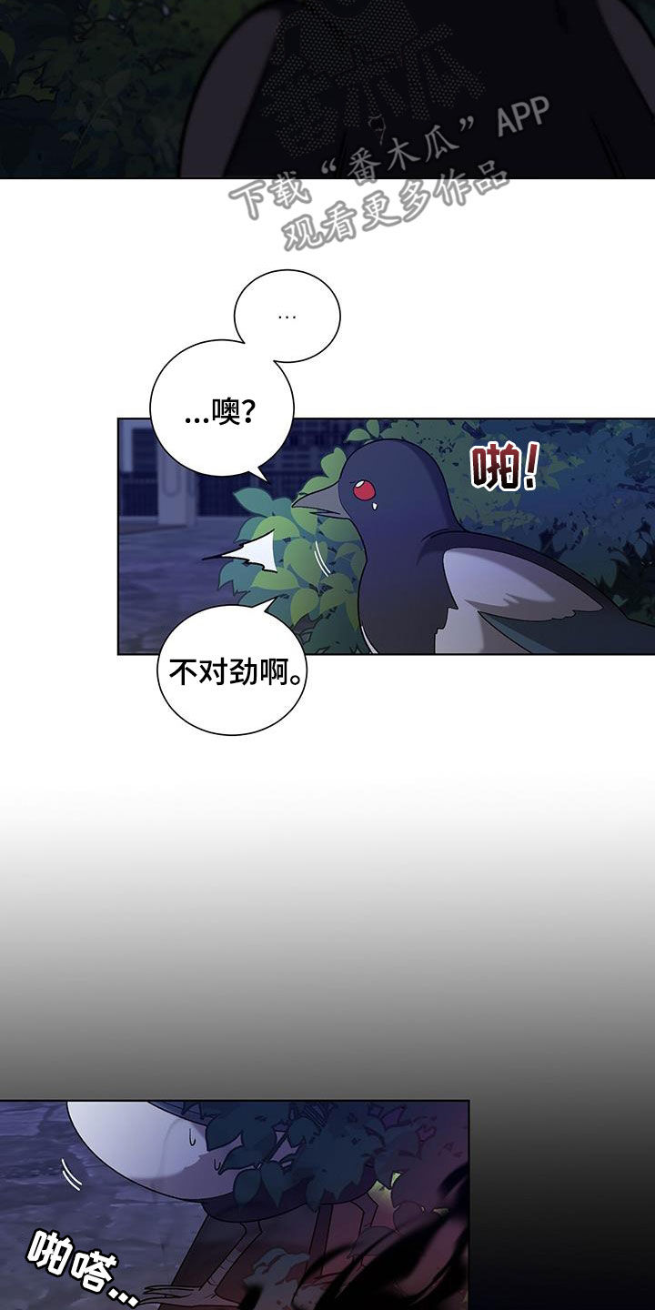 《鹊蛇之争》漫画最新章节第24章：不会有问题的免费下拉式在线观看章节第【32】张图片