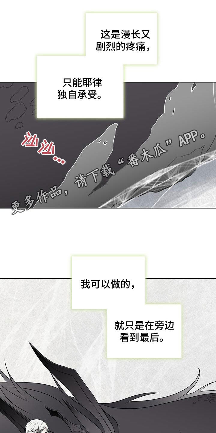 《森海之恋》漫画最新章节第81章：【第二季】求爱的歌免费下拉式在线观看章节第【25】张图片