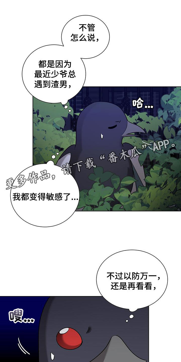 《鹊蛇之争》漫画最新章节第24章：不会有问题的免费下拉式在线观看章节第【34】张图片