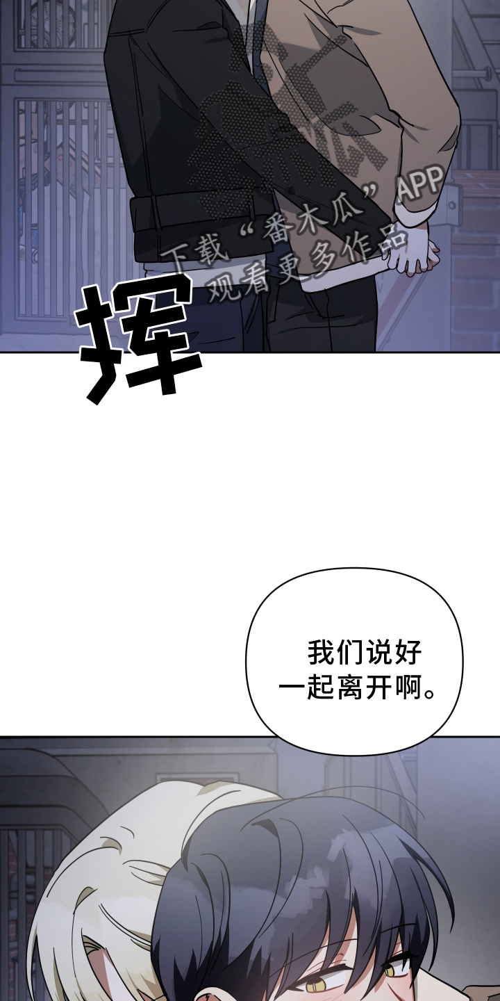 《狼人与血族》漫画最新章节第99章：选择免费下拉式在线观看章节第【22】张图片