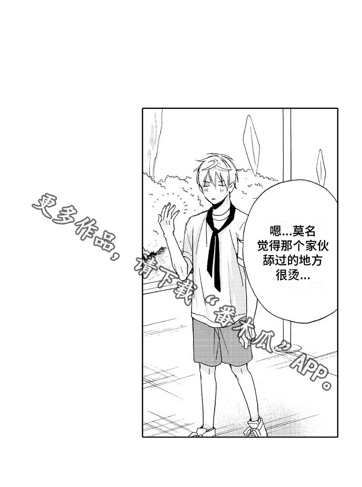 《真心打动》漫画最新章节第17章：真心免费下拉式在线观看章节第【1】张图片