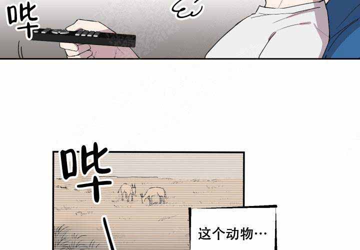 《遗传密码》漫画最新章节第9话免费下拉式在线观看章节第【41】张图片