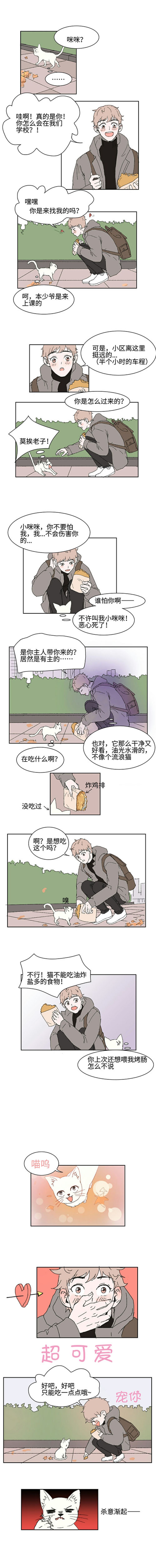 《猫少爷的贴身铲屎官》漫画最新章节第2话免费下拉式在线观看章节第【3】张图片