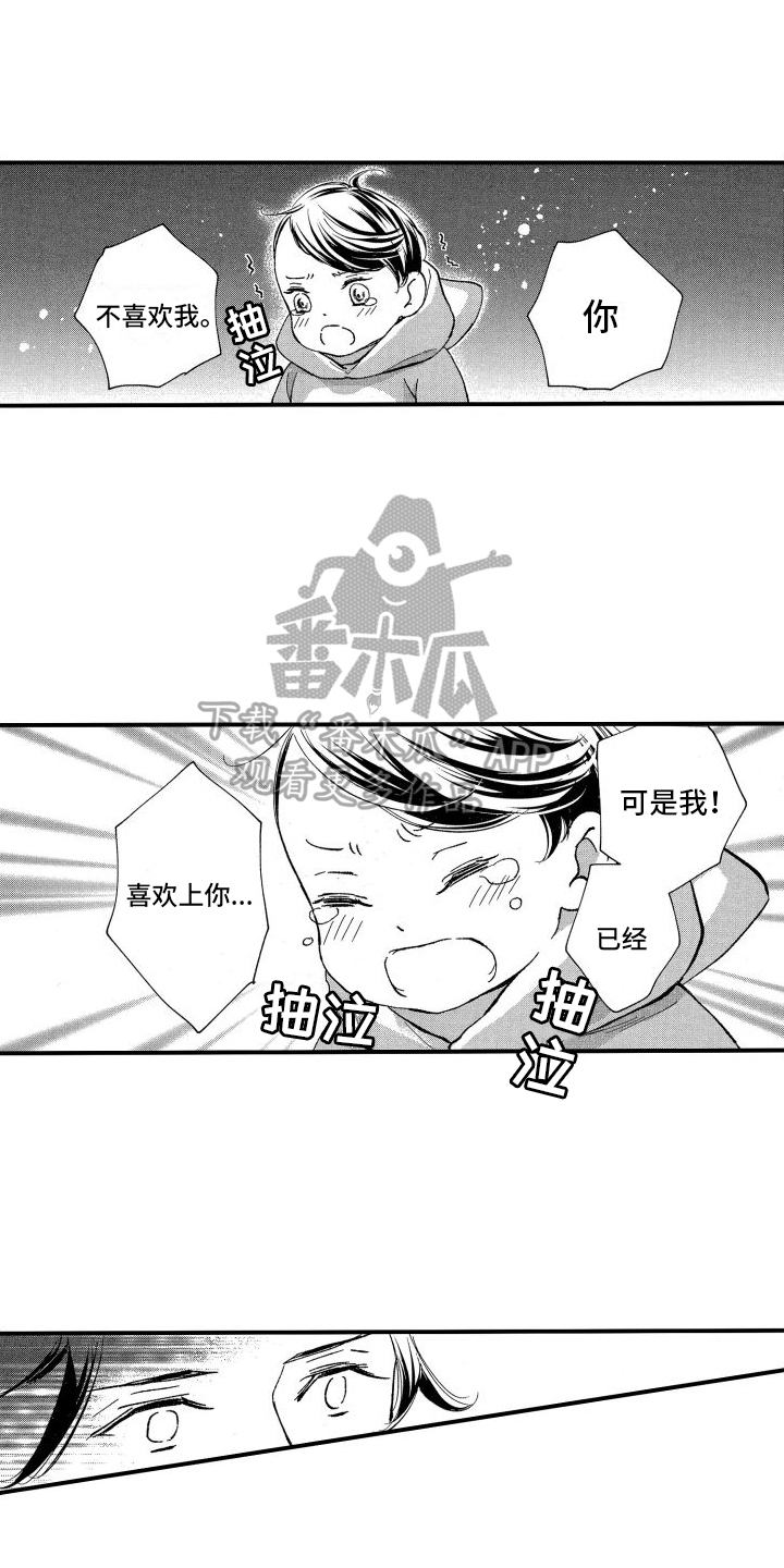 《热烈追求》漫画最新章节第5章：心意免费下拉式在线观看章节第【12】张图片