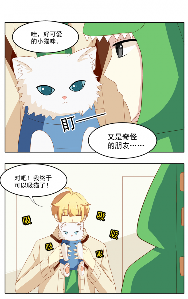 《主子是猫王子殿下》漫画最新章节第12话免费下拉式在线观看章节第【11】张图片