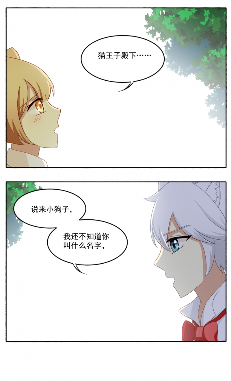 《主子是猫王子殿下》漫画最新章节第10话免费下拉式在线观看章节第【7】张图片