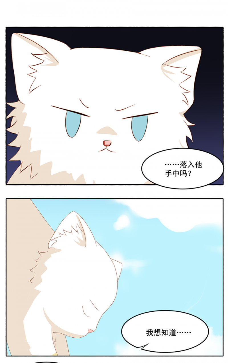 《主子是猫王子殿下》漫画最新章节第14话免费下拉式在线观看章节第【13】张图片