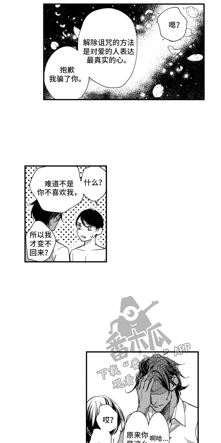 《热烈追求》漫画最新章节第5章：心意免费下拉式在线观看章节第【7】张图片