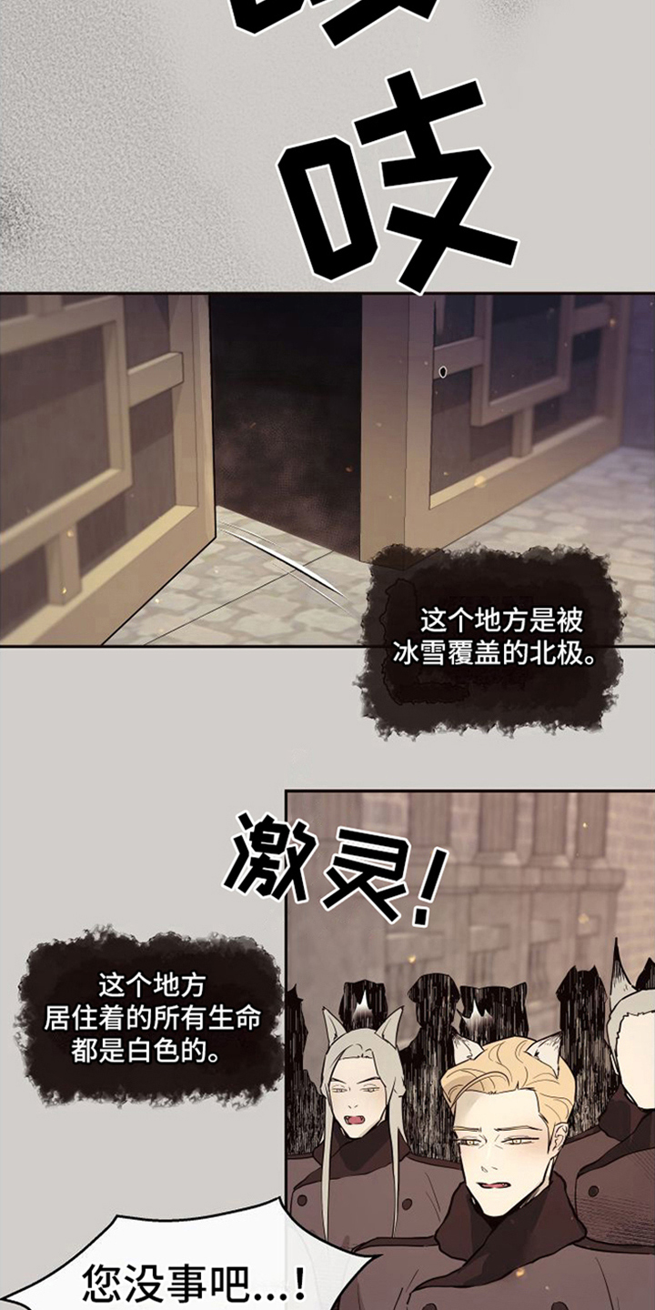 《北极兔》漫画最新章节第7章：唯一的黑色（完结）免费下拉式在线观看章节第【6】张图片