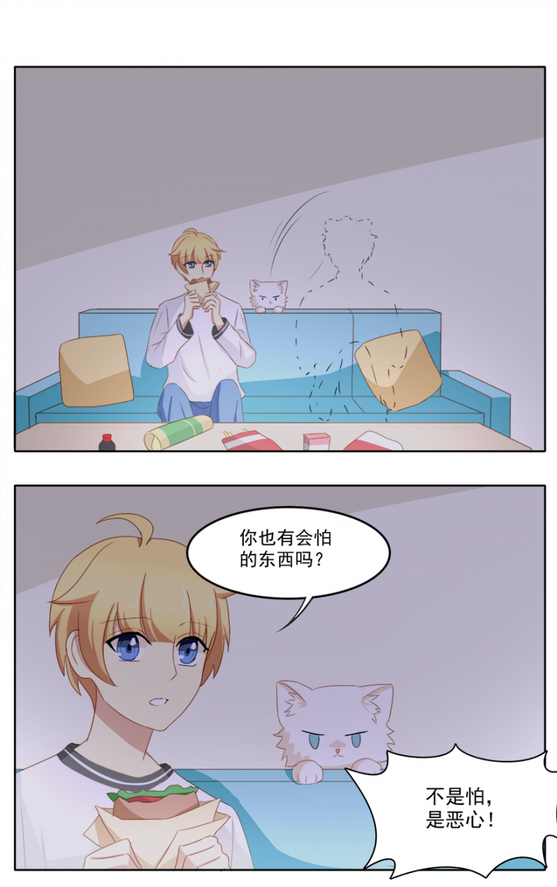 《主子是猫王子殿下》漫画最新章节第15话免费下拉式在线观看章节第【2】张图片