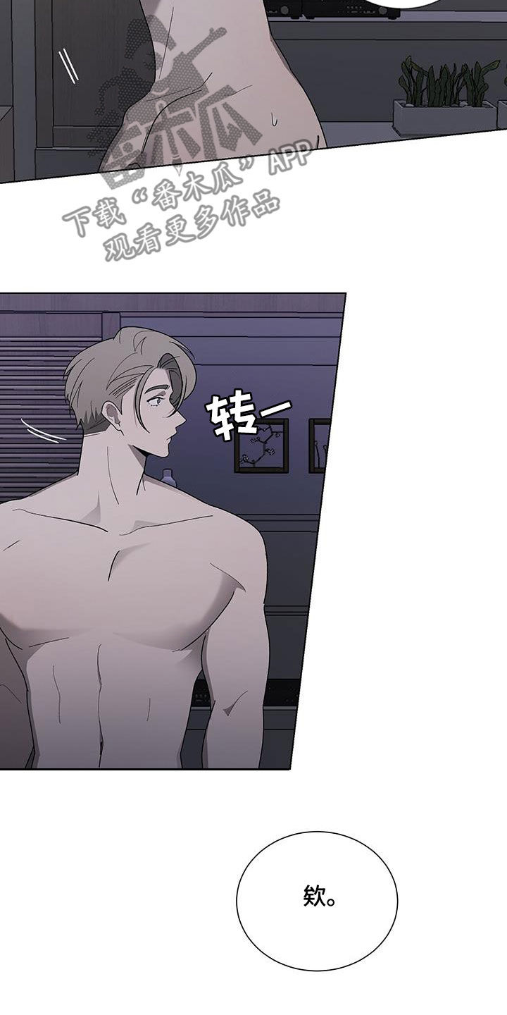 《鹊蛇之争》漫画最新章节第25章：哭声免费下拉式在线观看章节第【19】张图片