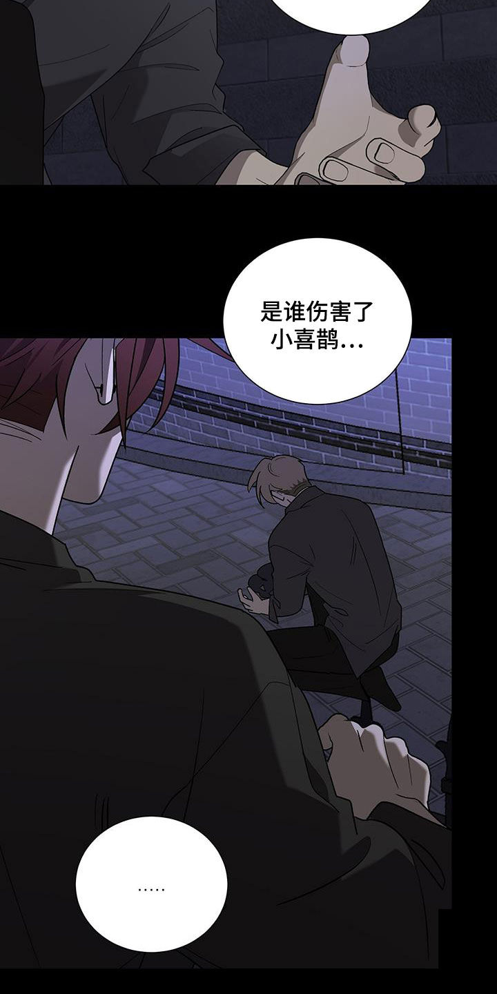 《鹊蛇之争》漫画最新章节第26章：重伤免费下拉式在线观看章节第【20】张图片