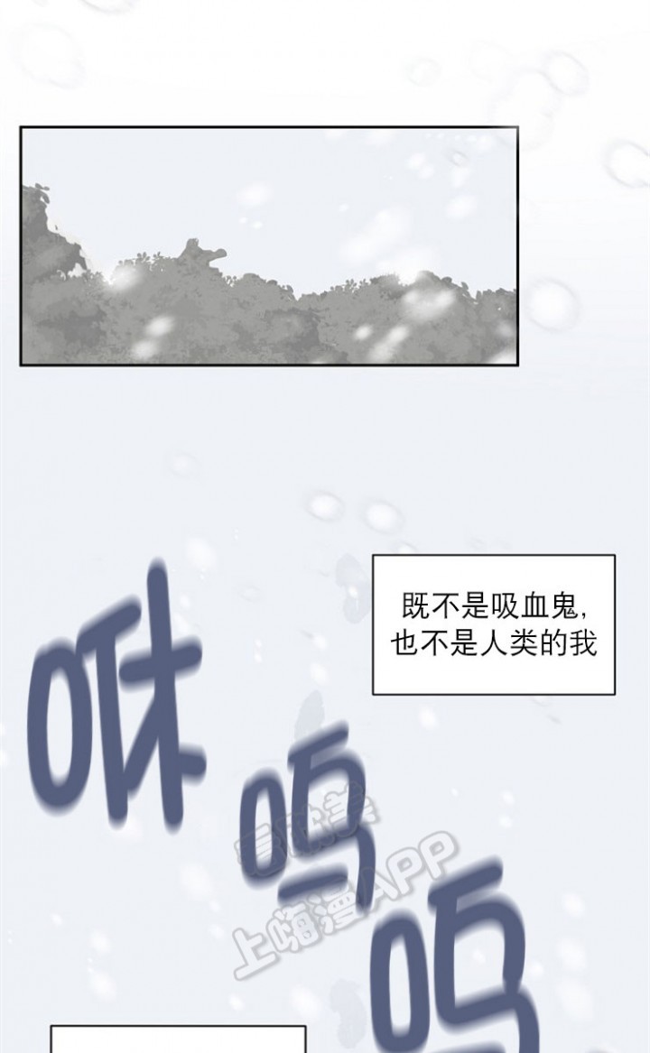 《小狼狗要以身相许》漫画最新章节第22话免费下拉式在线观看章节第【13】张图片