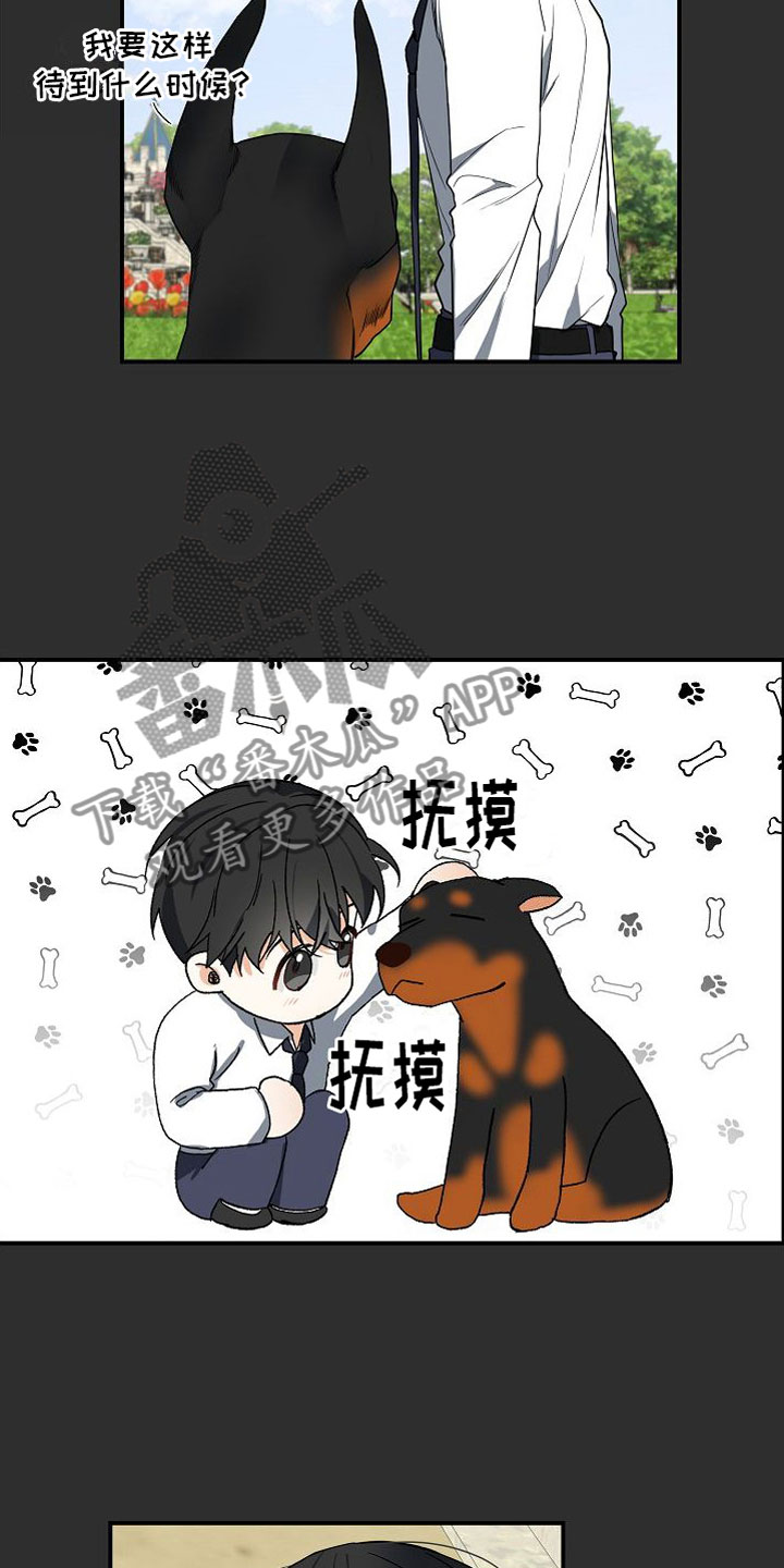 《狩猎之夜》漫画最新章节第6章：狩猎开始免费下拉式在线观看章节第【15】张图片