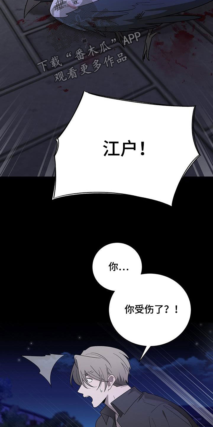 《鹊蛇之争》漫画最新章节第26章：重伤免费下拉式在线观看章节第【28】张图片