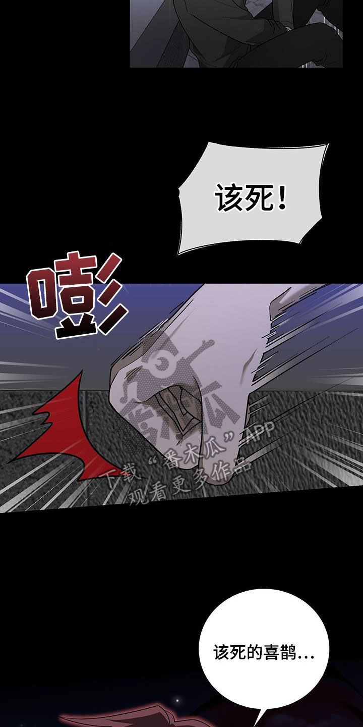 《鹊蛇之争》漫画最新章节第26章：重伤免费下拉式在线观看章节第【12】张图片