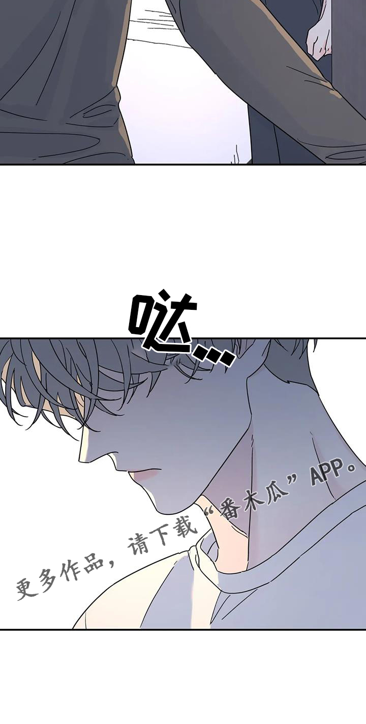 《无根之树》漫画最新章节第70章：喜欢免费下拉式在线观看章节第【1】张图片