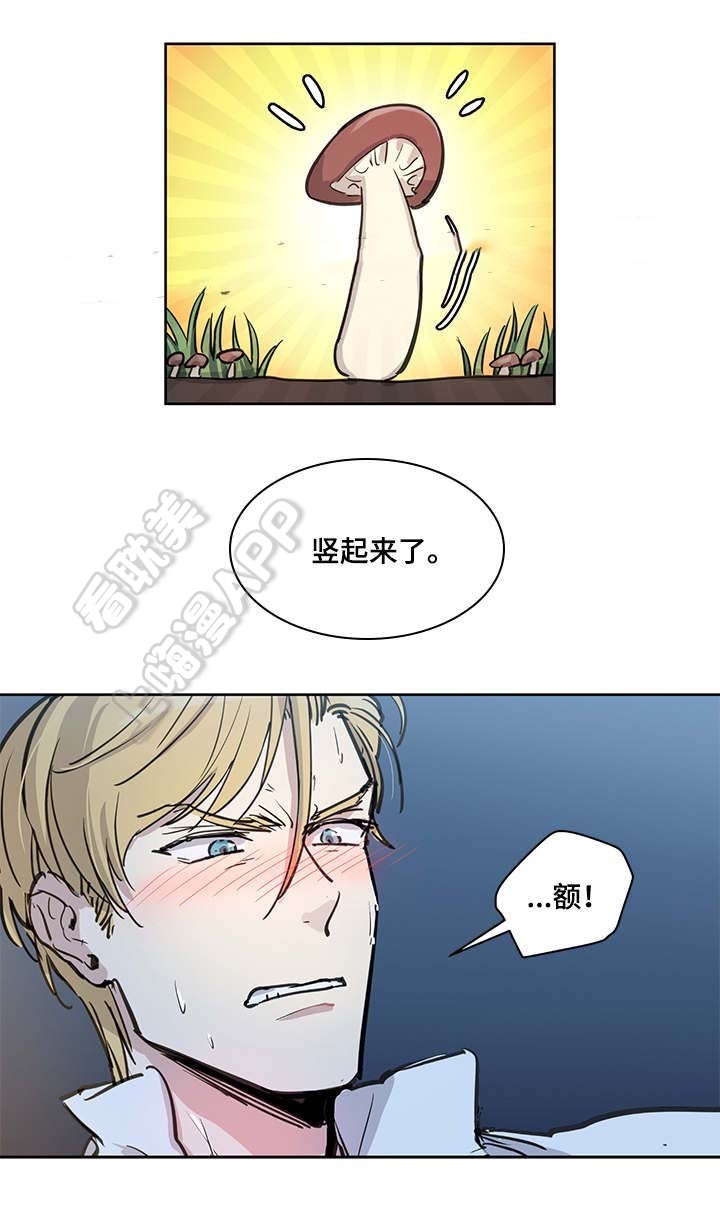 《如何成为公爵夫人》漫画最新章节第18话免费下拉式在线观看章节第【8】张图片