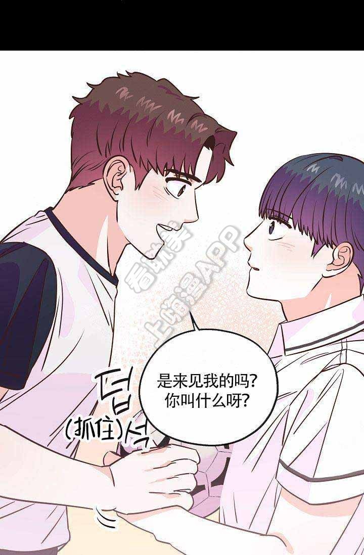 《养崽进行时》漫画最新章节第16话免费下拉式在线观看章节第【16】张图片