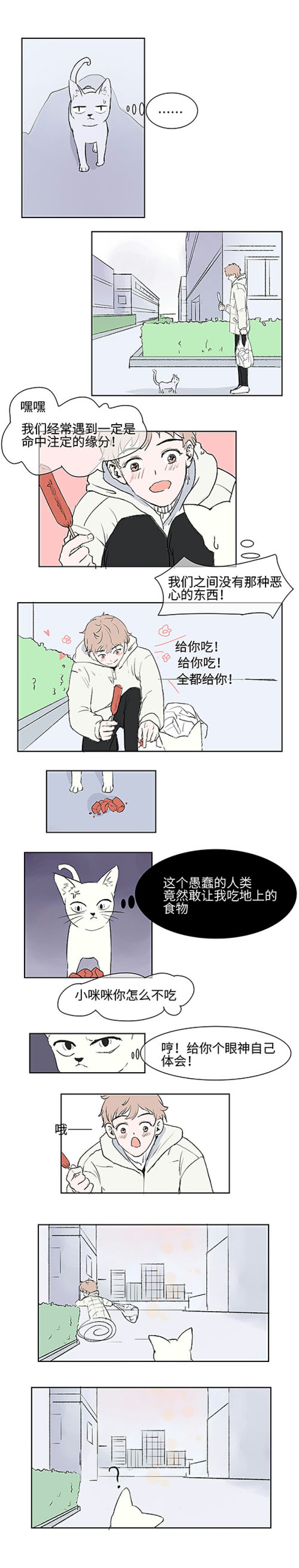 《猫少爷的贴身铲屎官》漫画最新章节第1话免费下拉式在线观看章节第【3】张图片