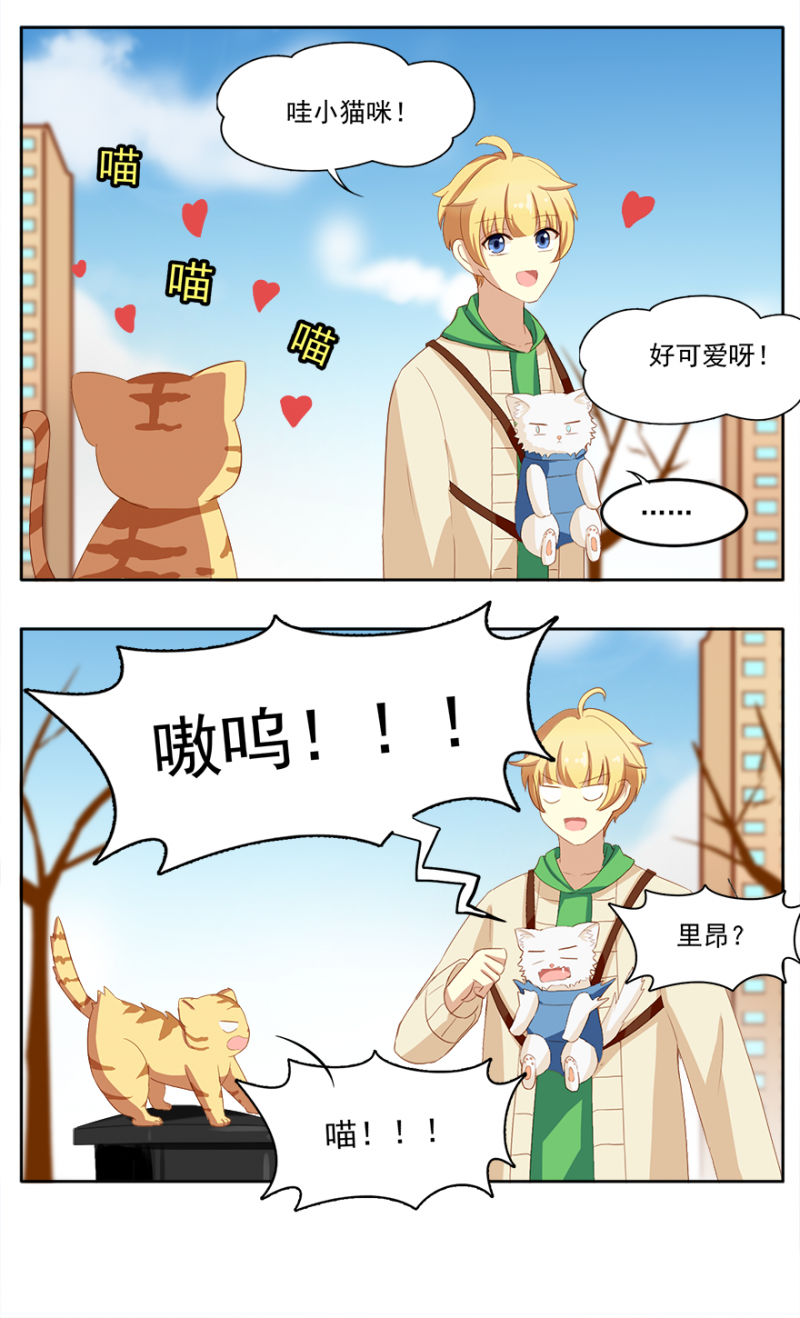 《主子是猫王子殿下》漫画最新章节第11话免费下拉式在线观看章节第【9】张图片