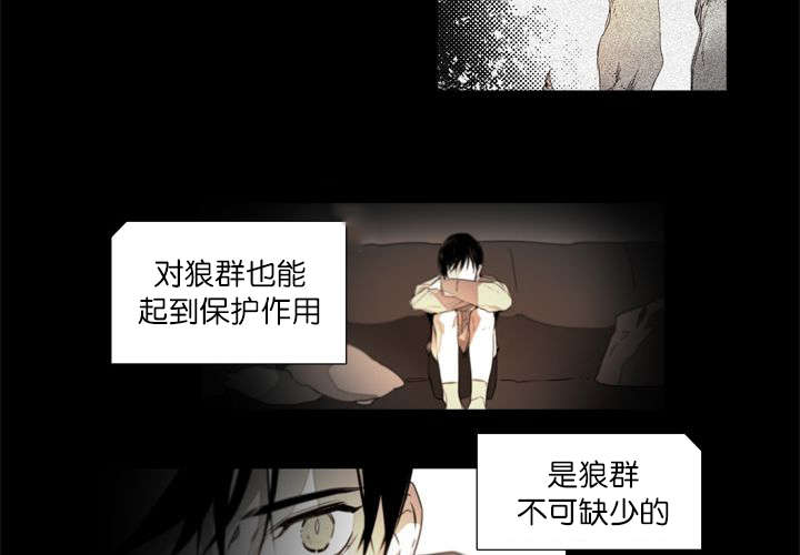 《狐狼之国/隐秘爱恋/沉溺》漫画最新章节第2话免费下拉式在线观看章节第【38】张图片