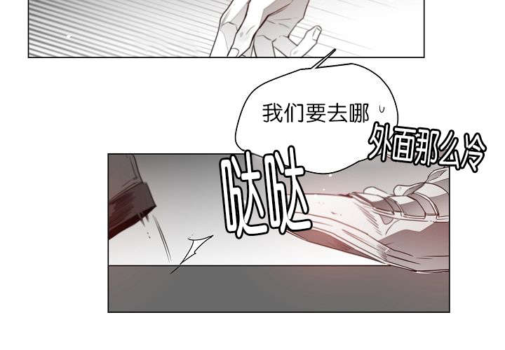 《狐狼之国/隐秘爱恋/沉溺》漫画最新章节第14话免费下拉式在线观看章节第【58】张图片