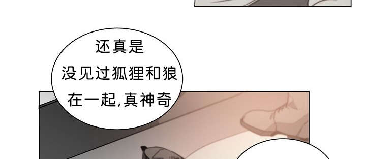 《狐狼之国/隐秘爱恋/沉溺》漫画最新章节第20话免费下拉式在线观看章节第【22】张图片