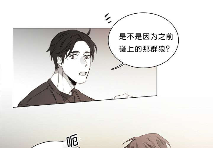 《狐狼之国/隐秘爱恋/沉溺》漫画最新章节第20话免费下拉式在线观看章节第【52】张图片