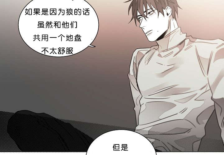 《狐狼之国/隐秘爱恋/沉溺》漫画最新章节第20话免费下拉式在线观看章节第【51】张图片